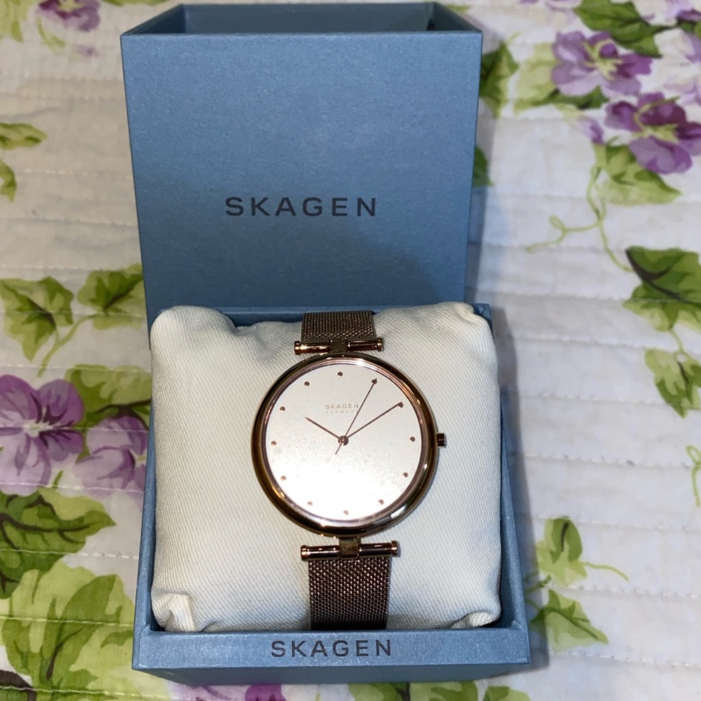 Brand New Skagen Watch